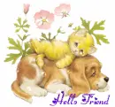 hello 