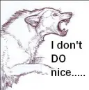 :~:I don't D0 nice:~: