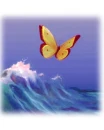 Butterfly wave