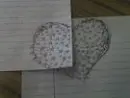star love