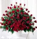 Red Roses