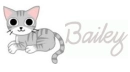 bailey cat