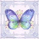Blue butterfly
