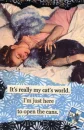Cat's world