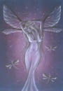 Fairy dragonfly
