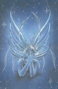 Shy Fairy