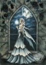Night Fall Fairy
