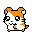hamster 