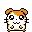 hamster