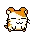hamster