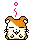 hamster