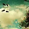 Ski Lift