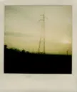 Polaroid