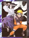 Sasuke and Naruto