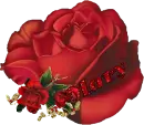 Mary Rose