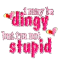 i may be dingy