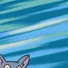 PhF -- Astronomical Cat