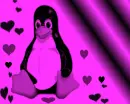 pinguino