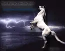 for Horseland