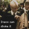 Draco can stroke it