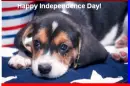 happy independence day!