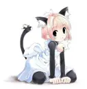 cute neko
