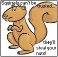 SQUIRRELS!!