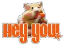 Hey You