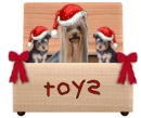 christmas yorkies