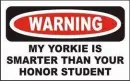 smart yorkie
