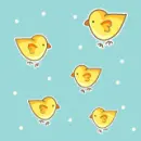little chicks