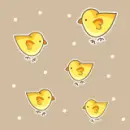 nice - yellow chicks