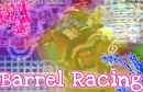 Barrel Racing Horse Banner