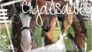 Cyldesdale Horse Banner