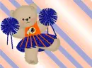 Redskins Bear