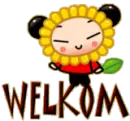 Pucca Sign