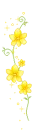 cute floers