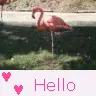 â™¥â™¥â™¥
