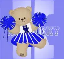 Kentucky Wildcats