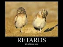 retard