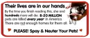 spay and neuter