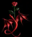 Dragon Rose