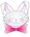 cute bunny