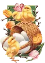 cute chicks