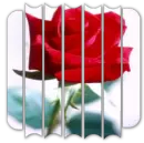 Rose Slats