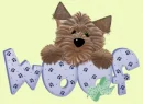 woof woof yorkie