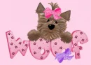 woof woof yorkie pink