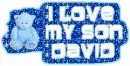 David