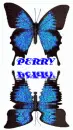 PERRY