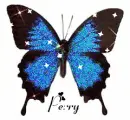 PERRY2